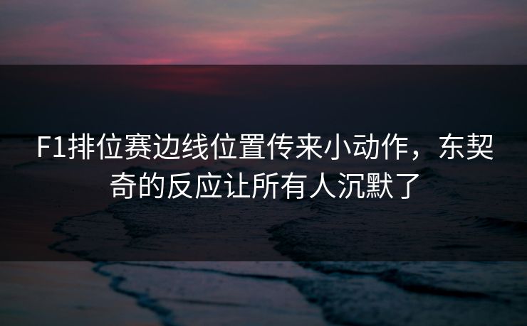 F1排位赛边线位置传来小动作,东契奇的反应让所有人沉默了 F1排位赛边线位置传来小动作,东契奇的反应让所有人沉默了